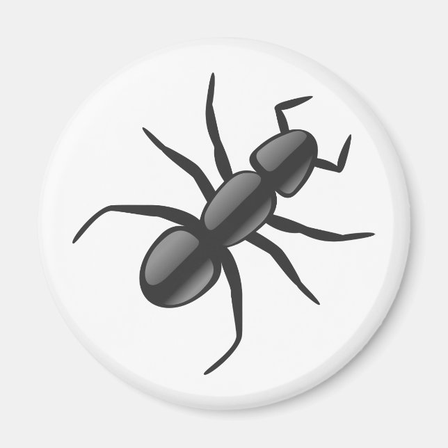 Aimant Ant (Devant)