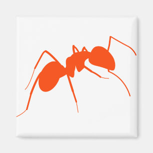 Aimant Ant orange