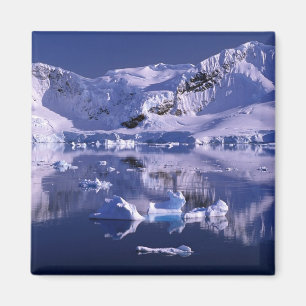 Aimant Antarctique, baie du Paradis