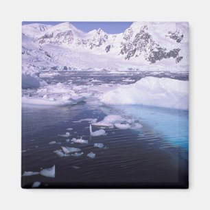 Aimant Antarctique. Expédition à travers les paysages de