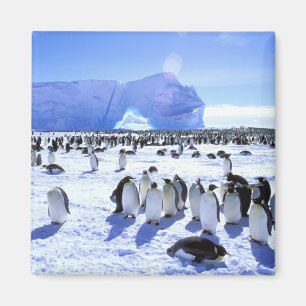 Aimant Antarctique, péninsule Antarctique, mer de Weddell
