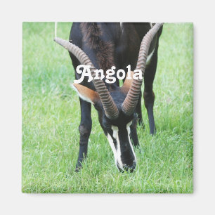 Aimant Antilope de sable de l'Angola
