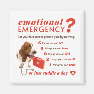 Aimant Anxiété - 54321 Compte à rebours - Doctor Dog - Ba
