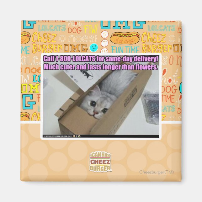 Aimant Appelez 1-800-LOLCATS (Devant)
