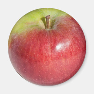 Aimant Apple