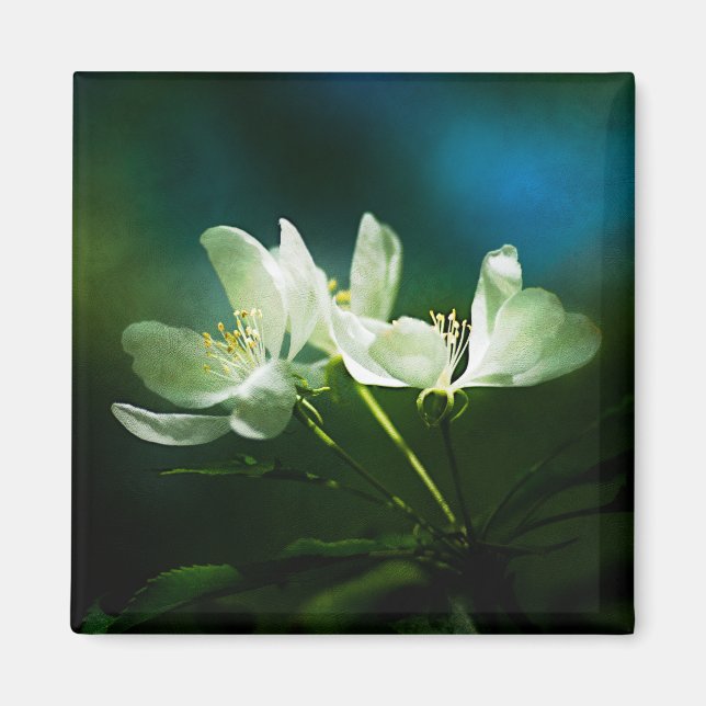 Aimant Apple Blossom - Deux Fleurs (Devant)