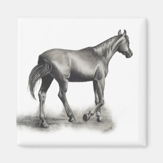 Aimant Après-midi Facile