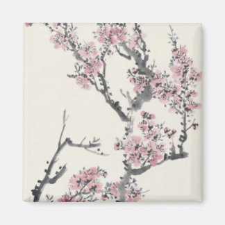 Aimant Apricot