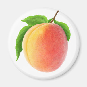 Aimant Apricot frais