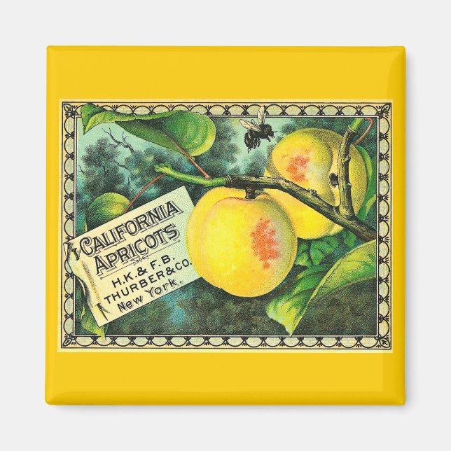 Aimant Apricots de Californie - Étiquette Vintage Crate (Devant)