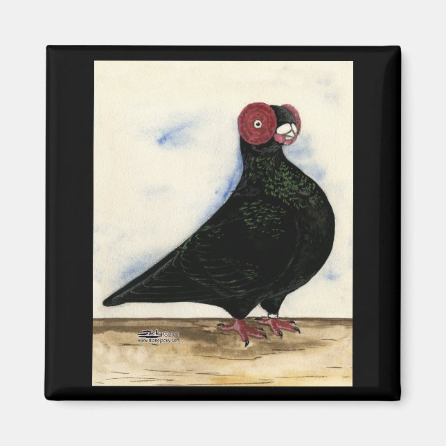 Aimant Aquarelle Barb Pigeon (Devant)
