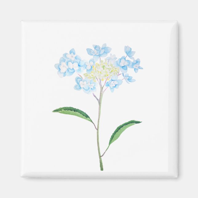 Aimant aquarelle bleu hydrangea (Devant)