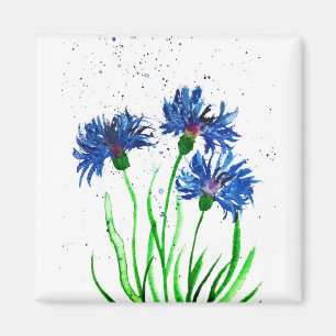 Aimant Aquarelle de Cornflowers