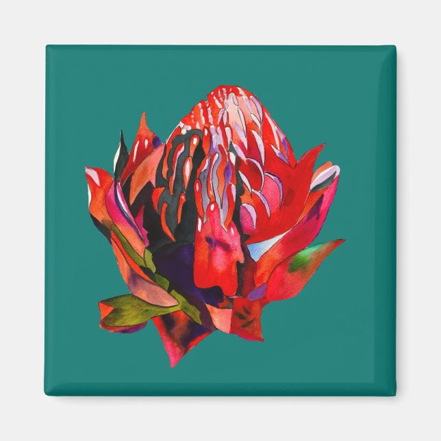 Aimant Aquarelle de fleurs indigènes de Waratah (Devant)