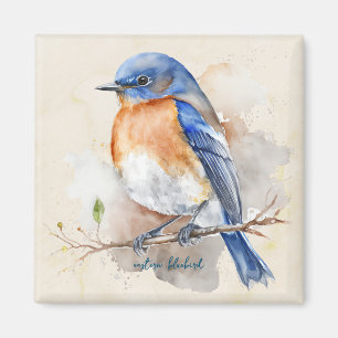 Aimant Aquarelle de Little Eastern Bluebird