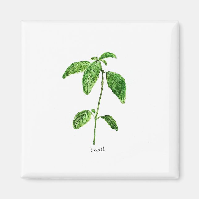 Aimant Aquarelle du jardin des herbes vertes Basil (Devant)