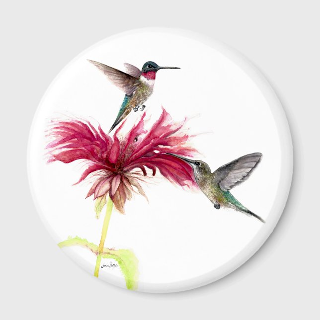 Aimant Aquarelle florale des colibris (Hummingbirds Floral Watercolor Magnet by Jenn Steffen Art)