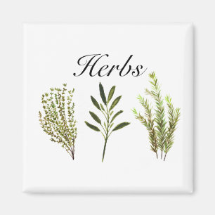 Aimant Aquarelle Herbes Thyme Rosemary Sage Plante Pot