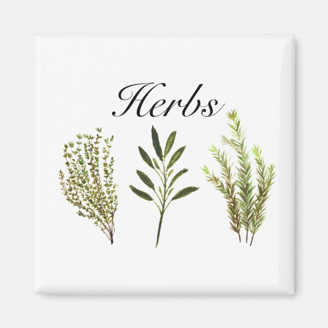 Aimant Aquarelle Herbes Thyme Rosemary Sage Plante Pot (Devant)