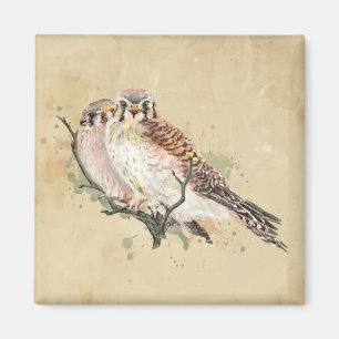 Aimant Aquarelle Kestrel Bird Bird Observation d'oiseaux
