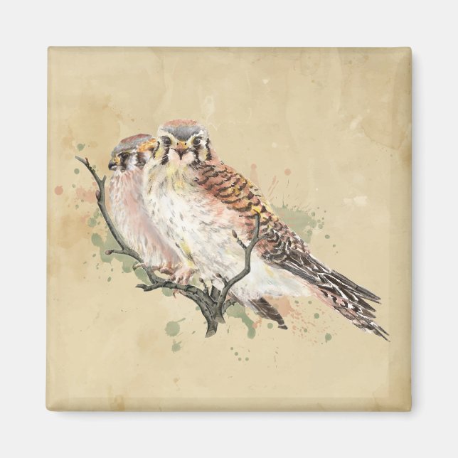 Aimant Aquarelle Kestrel Bird Bird Observation d'oiseaux (Devant)