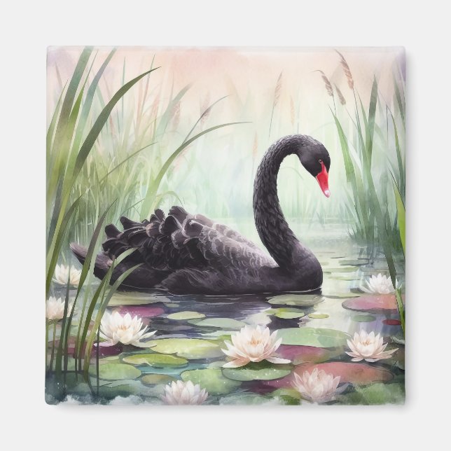 Aimant Aquarelle Lotus Fleurs Cygne noir (Devant)