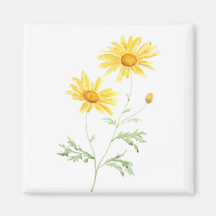 Aimant Aquarelle marguerite jaune