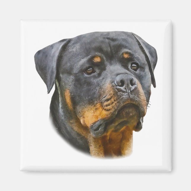 Aimant Aquarelle Rottweiler (Devant)