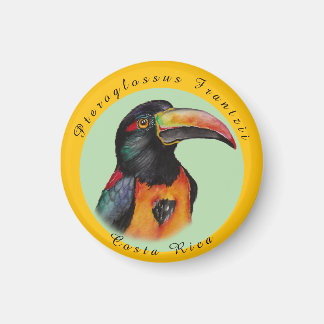 Aimant Aquarelle toucan