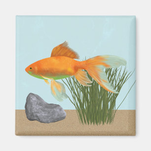 Aimant Aquarium Nature Poisson Rouge Or