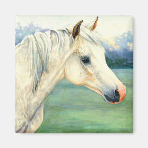 Aimant arabe de cheval