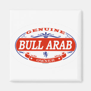Aimant Arabe de Taureau
