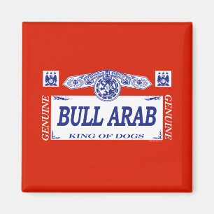 Aimant Arabe de Taureau