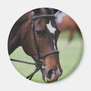 Aimant Arabe mignon de cheval