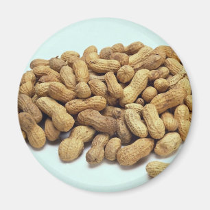 Aimant Arachides
