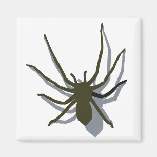 Aimant Araignée avec l'aimant d'ombre