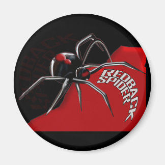 Aimant Araignée de Redback