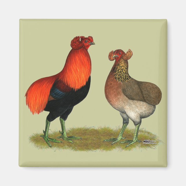 Aimant Araucana Red Pair (Devant)