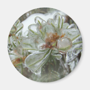 Aimant Arborvitae Conseils dans la glace