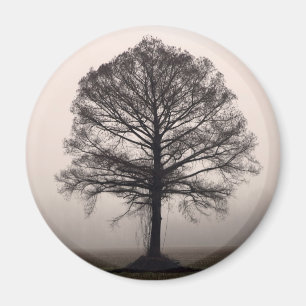 Aimant Arbre