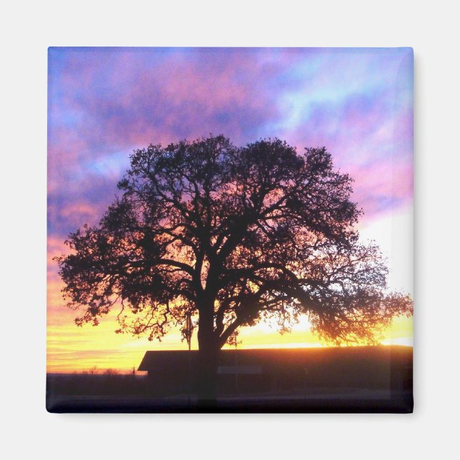 Aimant Arbre de l'aimant du coucher du soleil (Devant)