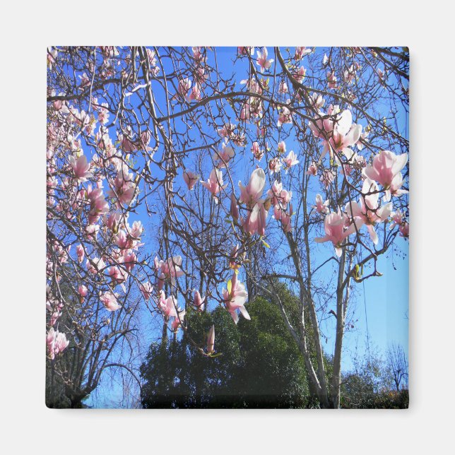 Aimant Arbre de Magnolia...... (Devant)