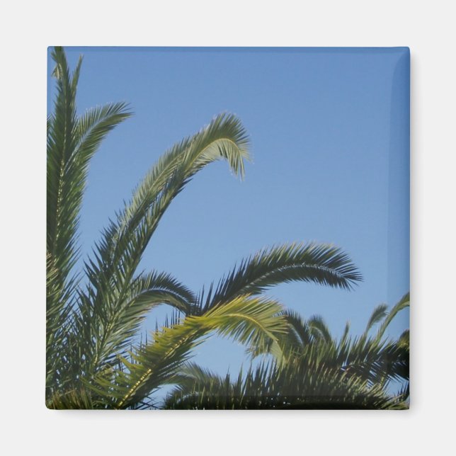 Aimant Arbre de palme (Devant)