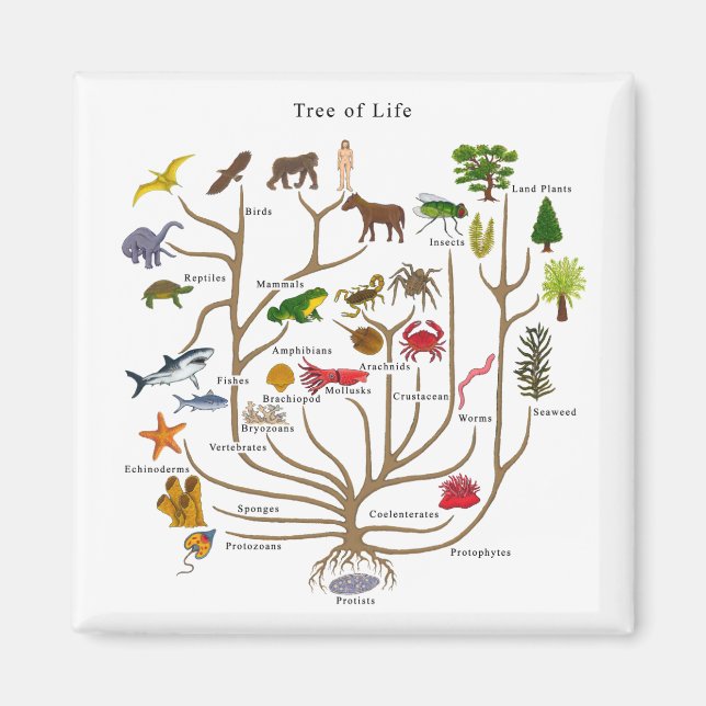 Aimant Arbre De Vie (Devant)