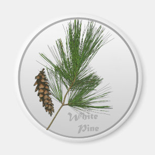 Aimant Arbre de White Pine
