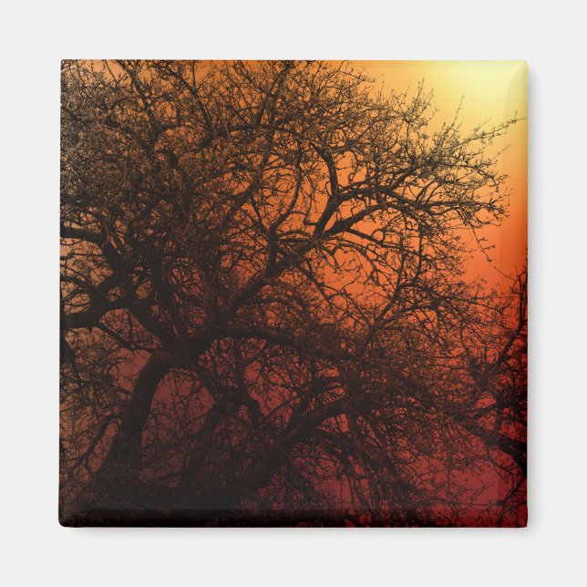 Aimant Arbre d'hiver Silhouette (Devant)