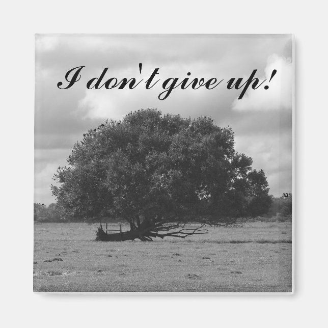 Aimant Arbre du Carré de vie (Devant)