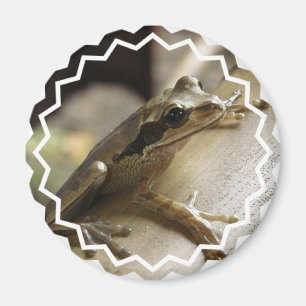 Aimant Arbre grenouille