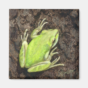 Aimant Arbre grenouille - "Envy Green"