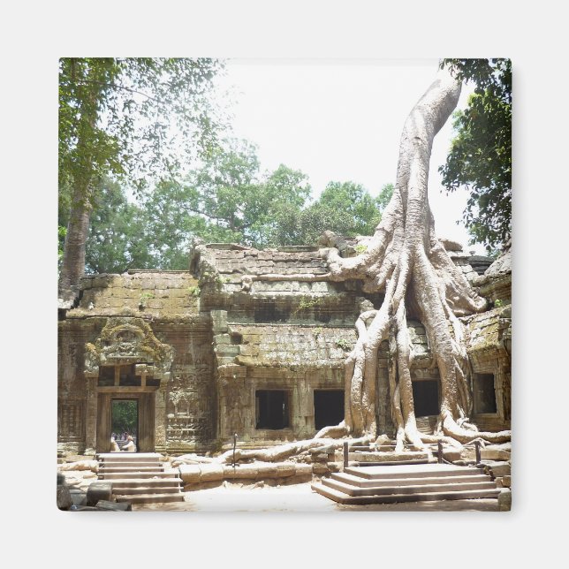 Aimant arbre ta prohm (Devant)